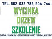Wycinanie drzew, szkolenie, tel. 504-746-203. Przepisy i decyzje, wydanie