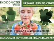 Ekologiczna uprawa Warzyw – Doniczki Spinane