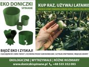 Osłonki do rozsady – Uprawa pomidorów