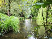 Agroturystyka nad reką Wel - Spływy kajakowe - Pole namiotowe z zapleczem
