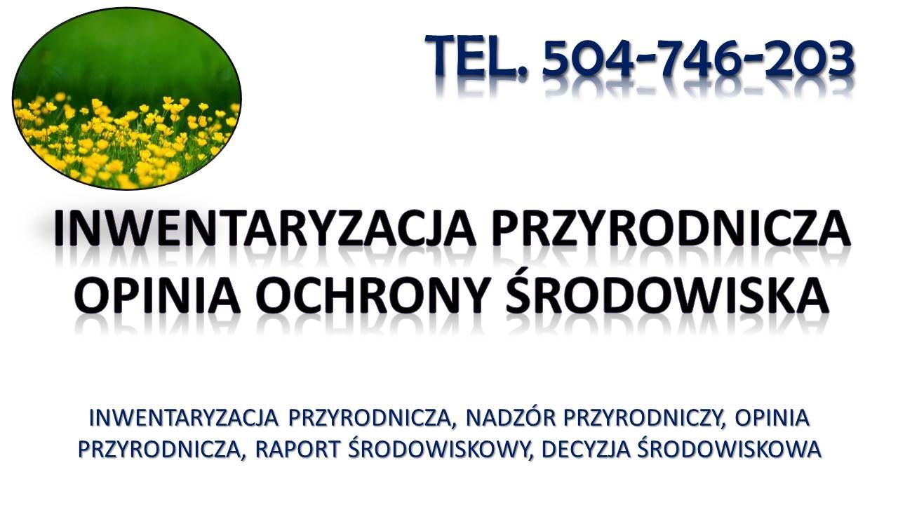 Nadzór przyrodniczy, opracowanie dokumentacji, tel. 504-746-203,  raport ochrony  - Zdjęcie 1