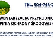 Nadzór przyrodniczy, opracowanie dokumentacji, tel. 504-746-203,  raport ochrony