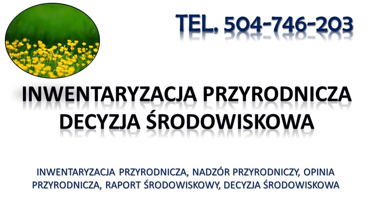 pinia przyrodnicza, karta informacyjna przedsięwzięcia, tel. 504-746-203, cennik  - Zdjęcie 1