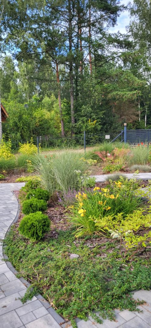 Zapraszam na Mazury, okolice Szczytna Jerutki - Zdjęcie 1