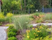 Zapraszam na Mazury, okolice Szczytna