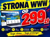 Strona firmowa szybko i profesjonalnie za 299 zł