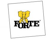 POMOCNIK PRODUKCJI - FABRYKI MEBLI FORTE S.A.
